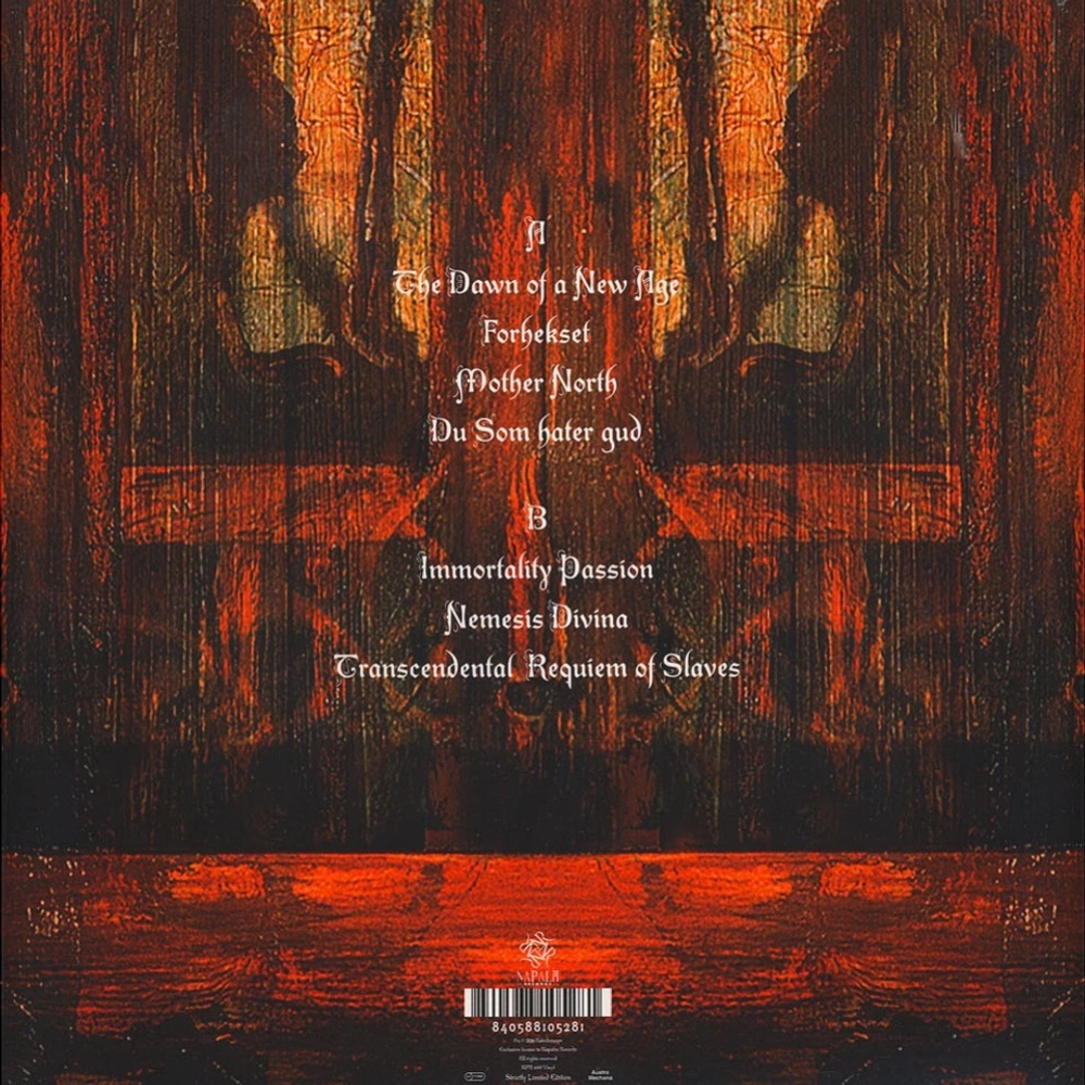 back