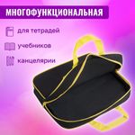 Папка на молнии с ручками BRAUBERG А4, 1 отделение, полиэстер, 80 мм, "Dark cat", 272178
