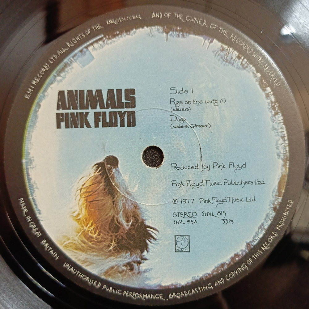 Pink Floyd / Animals (LP)