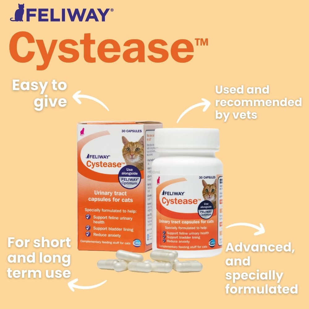 Feliway Cystease Феливей Цистиз