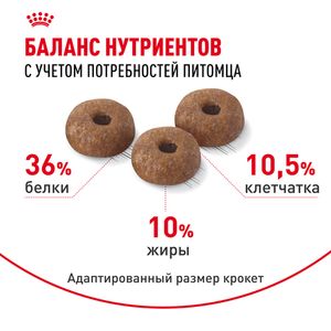 Уценка! Срок 26.08.26/ Сухой корм Royal Canin Light Weight Care для взрослых кошек для профилактики лишнего веса