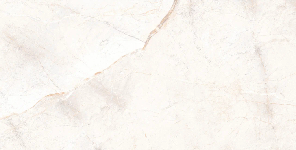 Керамогранит 60*120 MANAVGAT BONE POLISHED TECHNICAL PORCELAIN