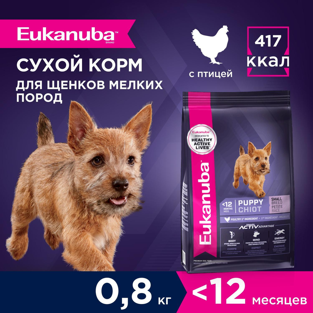 Сухой корм Eukanuba Puppy Small Breed <12 months для щенков мелких пород с курицей 800 г