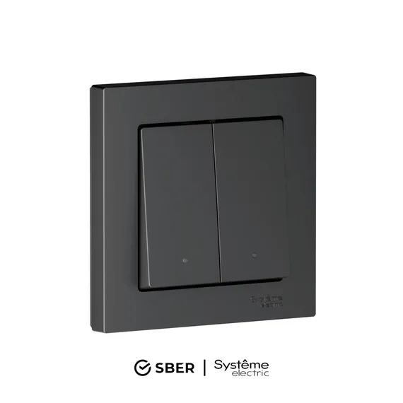 Выключатель двухклавишный с подсветкой Systeme Electric AtlasDesign Smart Карбон ATN001053Z
