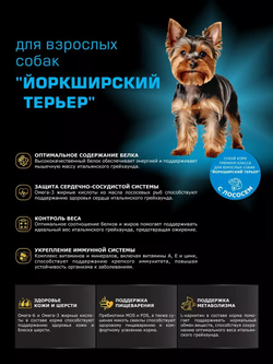 Корм сухой для взрослых собак породы Йоркширский терьер, с лососем, 800 гр, QUATTRO