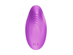 Вибратор в трусики SW1026Purple