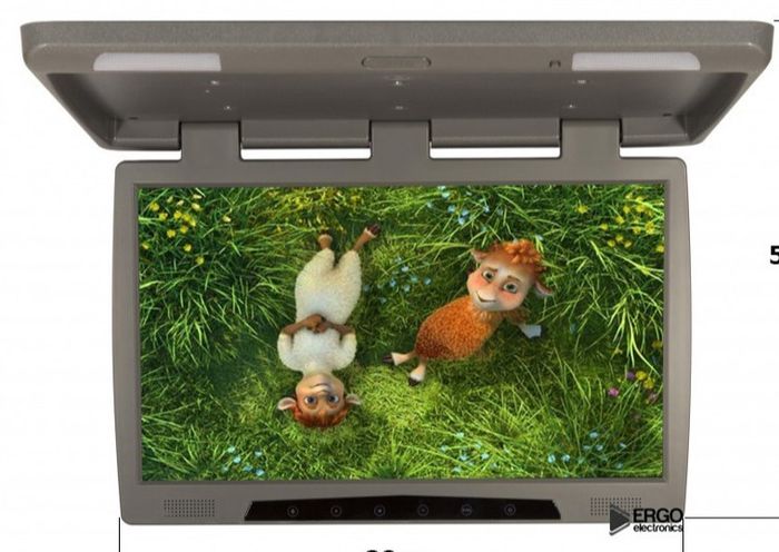Монитор потолочный - ERGO ER22H с экраном 22” (LCD 1680x1050) серый
