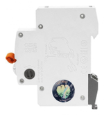 3d9957f9-b93d-47fd-9df9-f6a92df95ad4_435413679.jpg