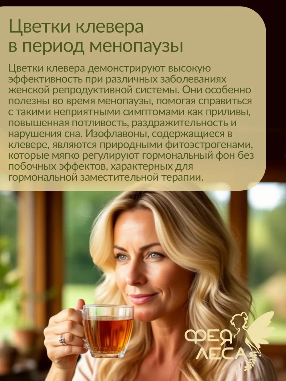 Клевер луговой цветки для здоровья и творчества