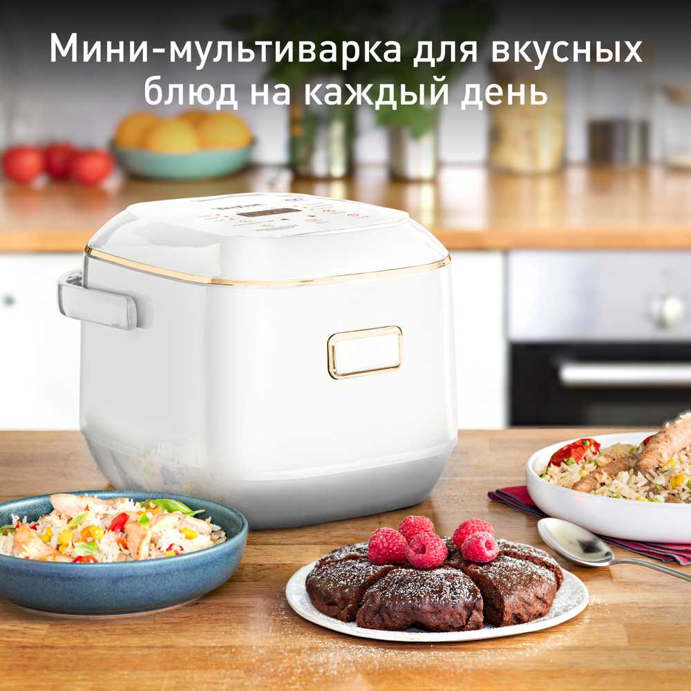 Мультиварка Tefal RK601132 Mini