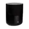 Bluesound Pulse M Black