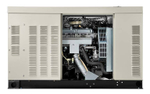 Электростанция газовая Generac RG027 (21.6 кВт) 220 В