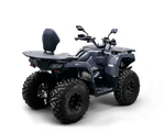 Квадрицикл Bizon YK250 LUX EFI ПТС