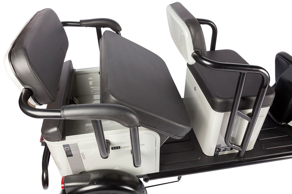Электротрицикл Wanshida LC300 (1000Вт, 60B)