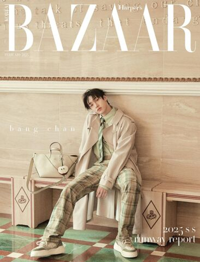 публикация BAZAAR - 2025.02 B Type