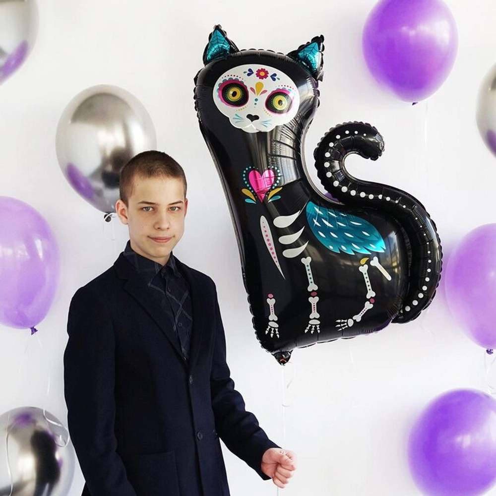 Шар скелет кошки