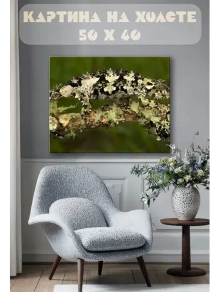 Картина на стену 40 X 50 Ящерица