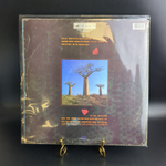 2 LP Pink Floyd - Delicate Sound Of Thunder , Repress, USSR, 1988 зарубежный рок. 2 Виниловые пластинки
