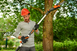 Цепная пила аккумуляторная телескопическая WORX WG349E.9