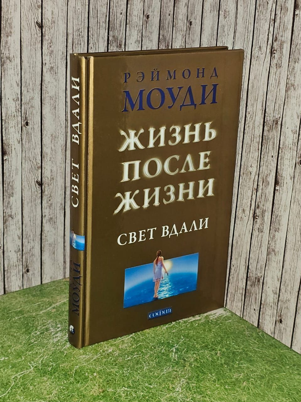 Жизнь после жизни. Свет вдали. Моуди Рэймонд