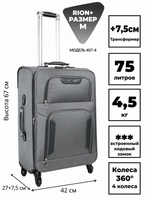 RION+ 407-4GRY — инфографика
