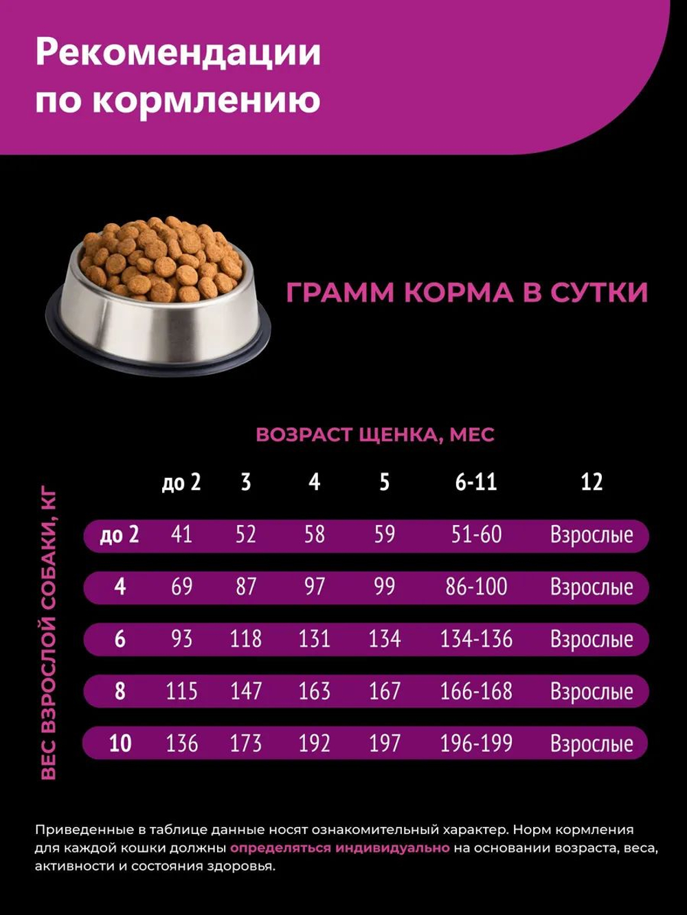 Корм сухой для щенков породы Ши-тцу, с говядиной, 800 гр, QUATTRO