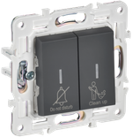 SKANDY Выключатель 2-клавишный с индикацией для отелей 10А SK-V16G графит IEK