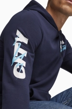 Кофта Puma Manchester City 23/24 Ftblicons