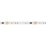 Лента SPI-B60-10mm 24V RGB-PX6-RAM (15 W/m, IP20, 5060, 5m) (Arlight, бегущий огонь)