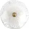 Настенный светильник Bloom 10352W/A AB Loft It