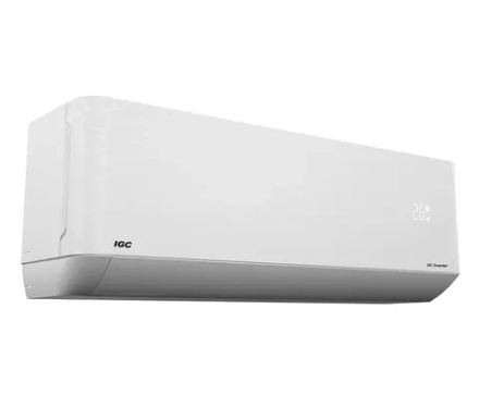 IGC RAS-V12AT
