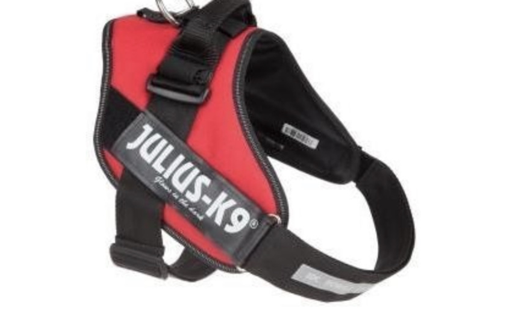 Шлейка для собак Julius-K9 (40-70кг)