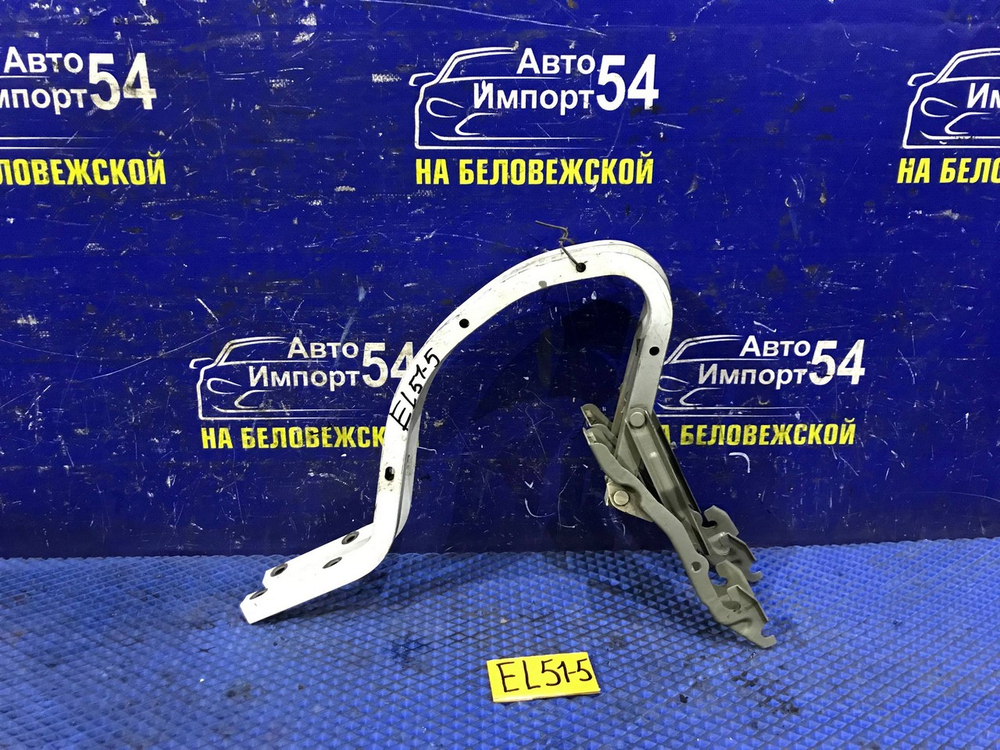 Петля багажника TOYOTA CORSA 1997