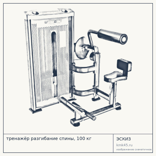 тренажёр разгибание спины, 100 кг — от 179 000 ₽