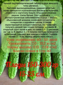 Семена Огурец Апрельский ранний самоопыляемый 2гр