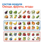 Природные богатства России с РобоМышью (4 робомыши, с системой хранения) Learning Resources MS0104