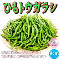 Японский Пряный Сладкий Струнный Перец Химо Тогараши - Himo Togarashi ひも唐辛子