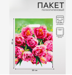 Пакет подарочный «Натюрель» полиэтиленовый с вырубной ручкой, 30×40 см, 30 мкм