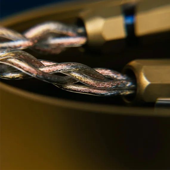 FATfreq Grand Maestro Anniversary Gold Universal