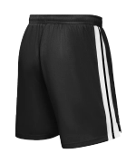 Шорты баскетбольные JÖGEL DIVISION PerFormDRY Shorts 99, черный