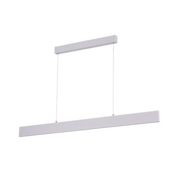 Подвесной светодиодный светильник A2505SP-2WH белый Largo Arte Lamp