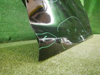 DSCN9625.jpg