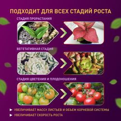 Светодиодная лента для растений ЭРА FITO-Strip Light-RB-2m красно-синего спектра, 2 м, IP65 с адаптером 12V в комплекте | Светодиодные ленты для растений