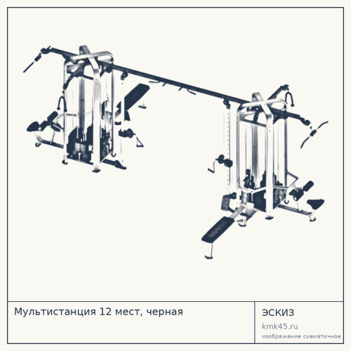 Мультистанция 12 мест, черная — от 2 220 000 ₽