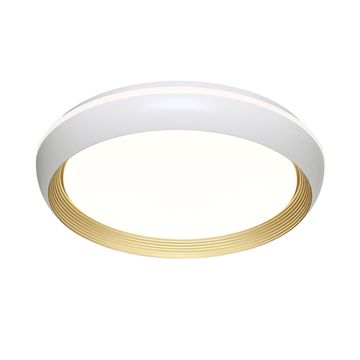 Настенно-потолочный светильник 48W 3000-6000K 7650/DLN белый/золотой PALE TOFIQ WHITE Sonex