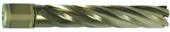 Корончатое сверло Karnasch 18х80 мм, GOLD-LINE, Weldon 19, арт. 20.1285U-018