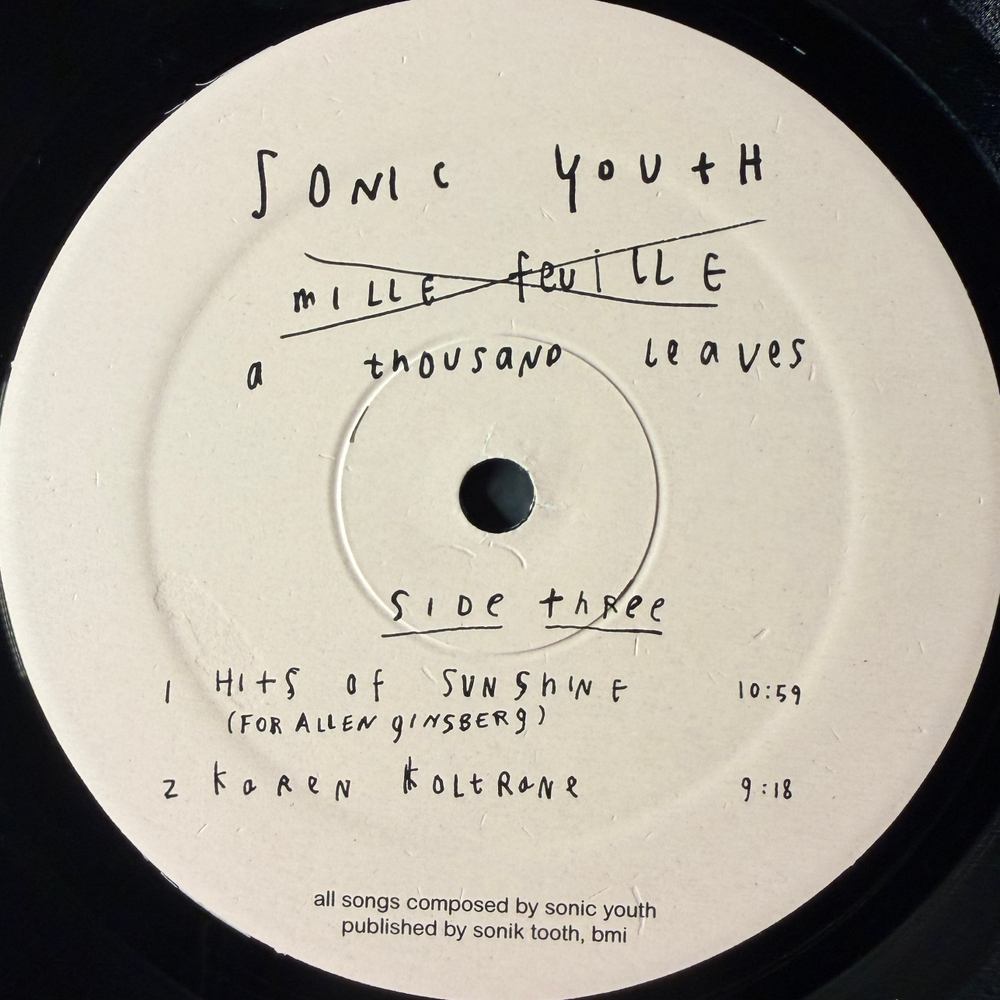 Sonic Youth – A Thousand Leaves (США 1998г.) Т