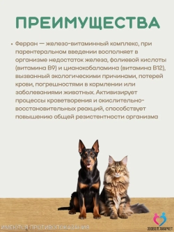 Ферран, железо-витаминный комплекс для животных, 50 мл