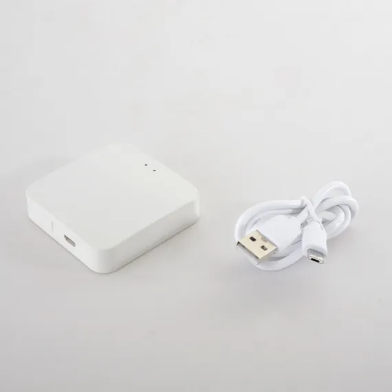 Модуль управления Space Smart Home CLT 0.203 12 Crystal Lux