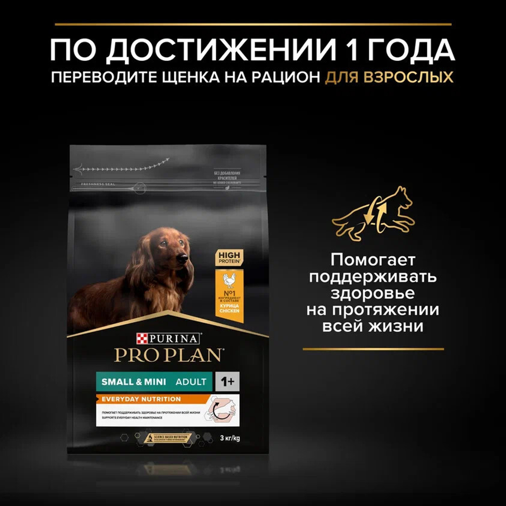 Сухой корм PRO PLAN DUO DELICE для взрослых собак мелких и карликовых пород говядина 700 г
